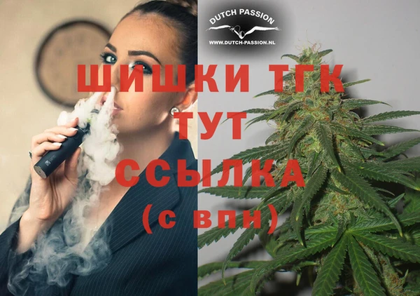 стафф Покачи
