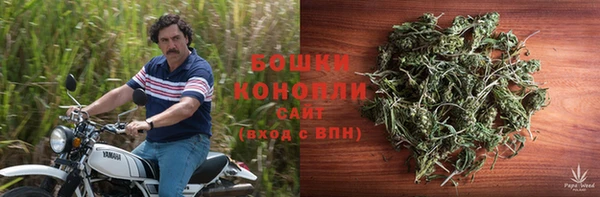 стафф Покачи