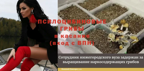 MDMA Premium VHQ Аркадак
